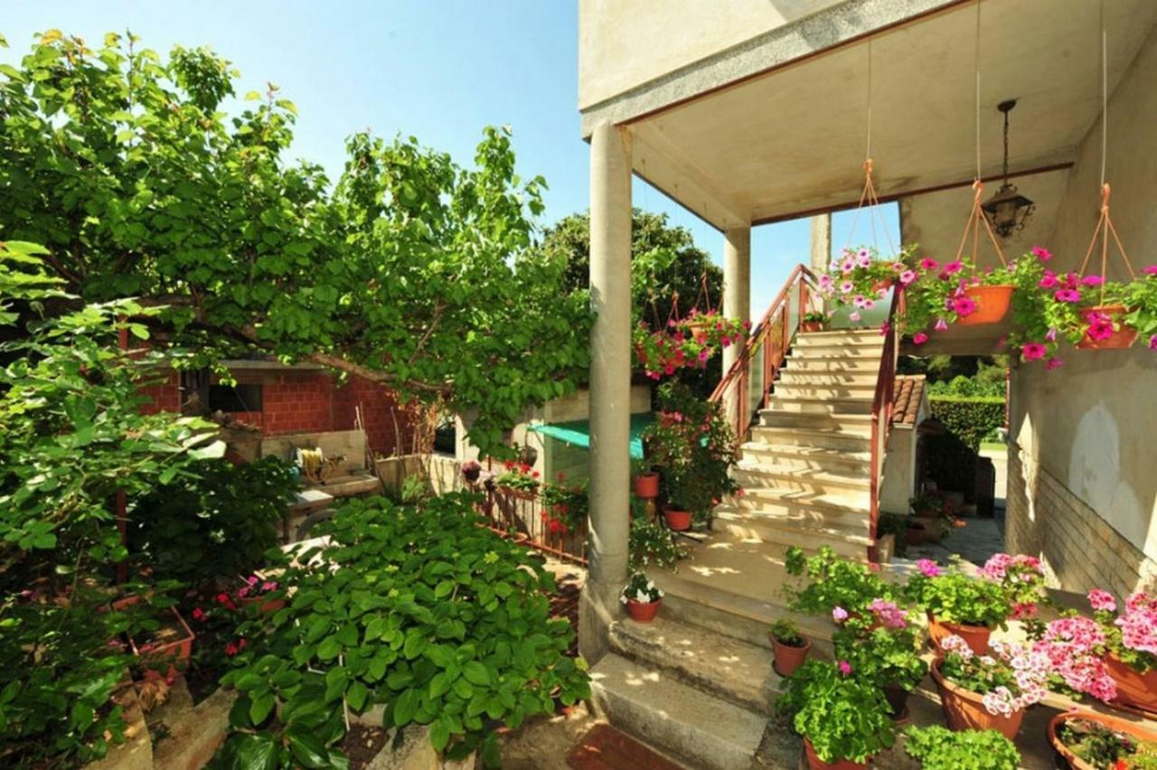 Apartment Patricia Rovinj Dış mekan fotoğraf